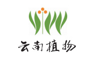 云南植物药业有限公司
